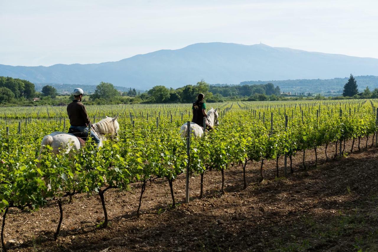 Chateau La Croix Des Pins Mazan Εξωτερικό φωτογραφία